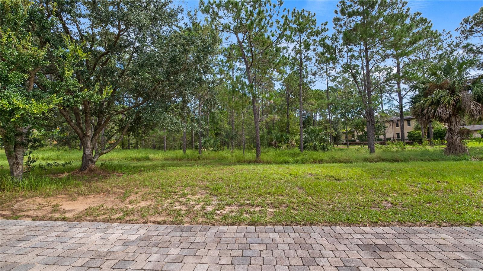 16306 PENDIO DR, MONTVERDE, FL, 34756