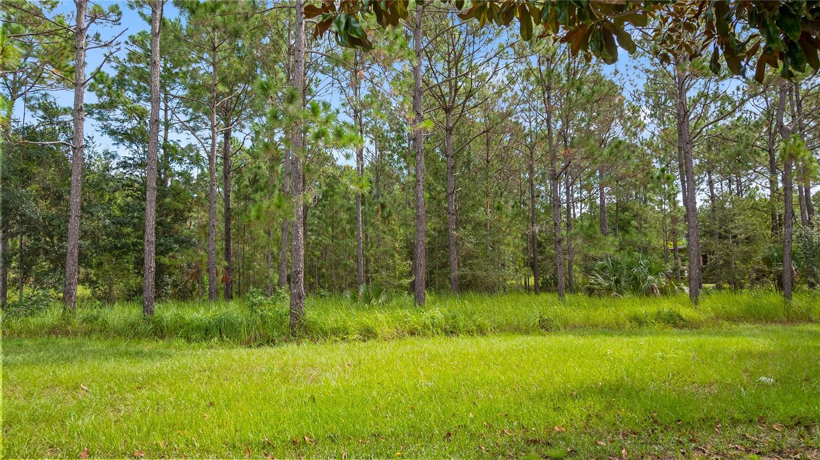 16306 PENDIO DR, MONTVERDE, FL, 34756
