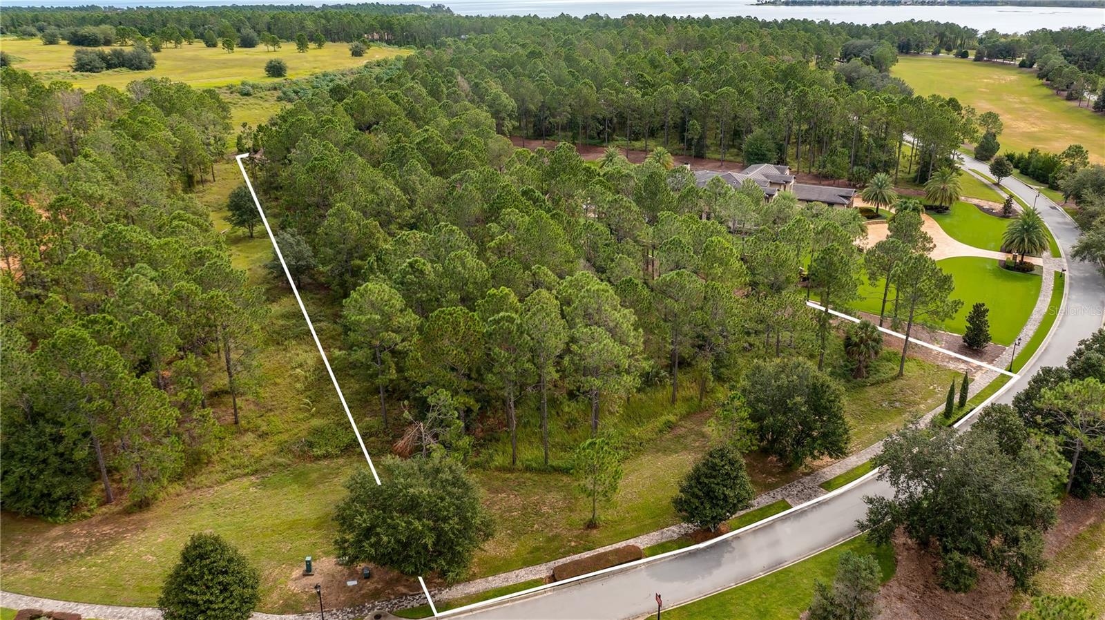 16306 PENDIO DR, MONTVERDE, FL, 34756