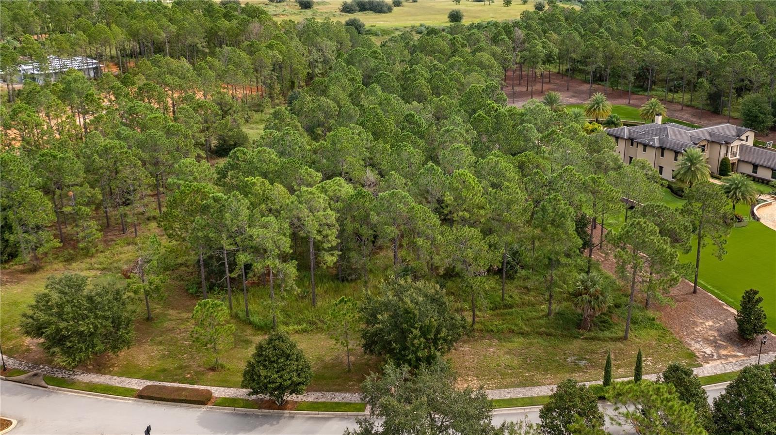 16306 PENDIO DR, MONTVERDE, FL, 34756