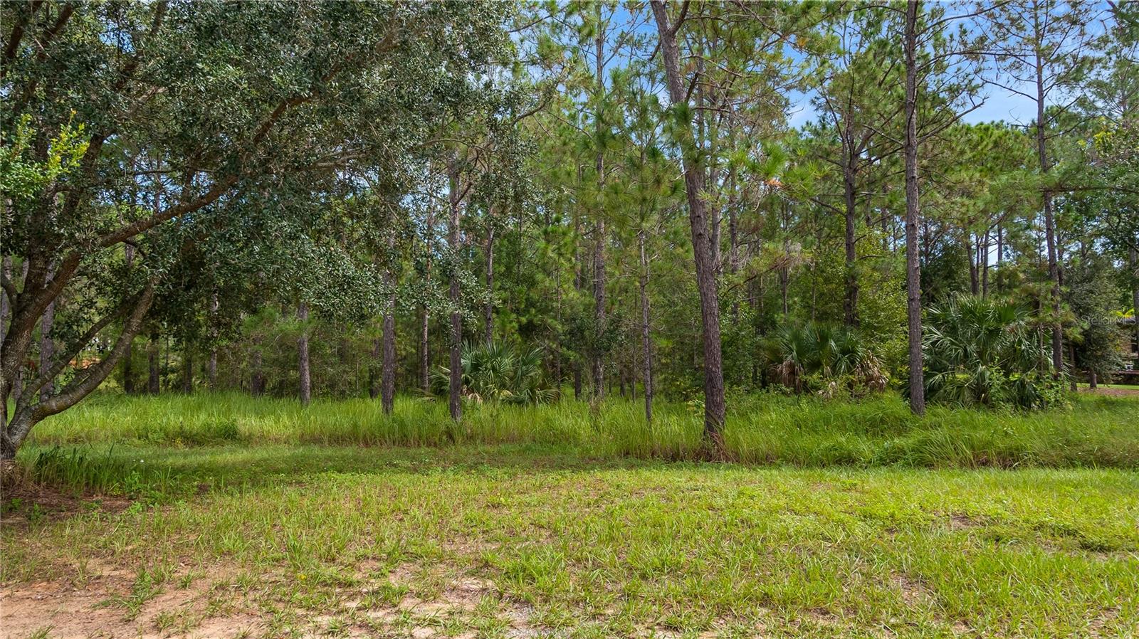 16306 PENDIO DR, MONTVERDE, FL, 34756