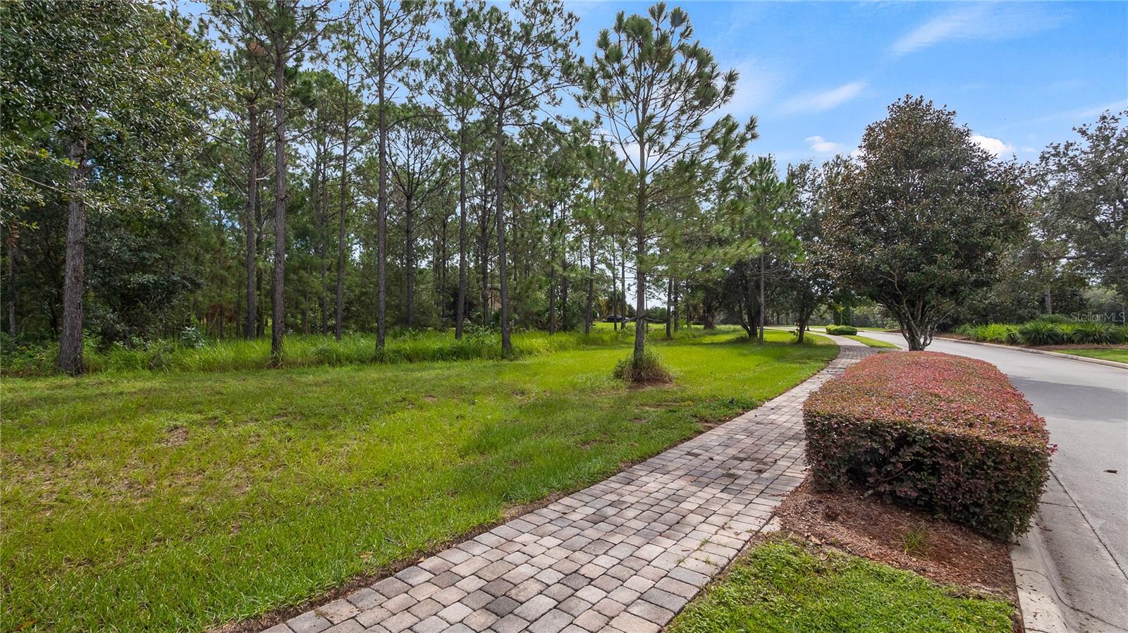 16306 PENDIO DR, MONTVERDE, FL, 34756