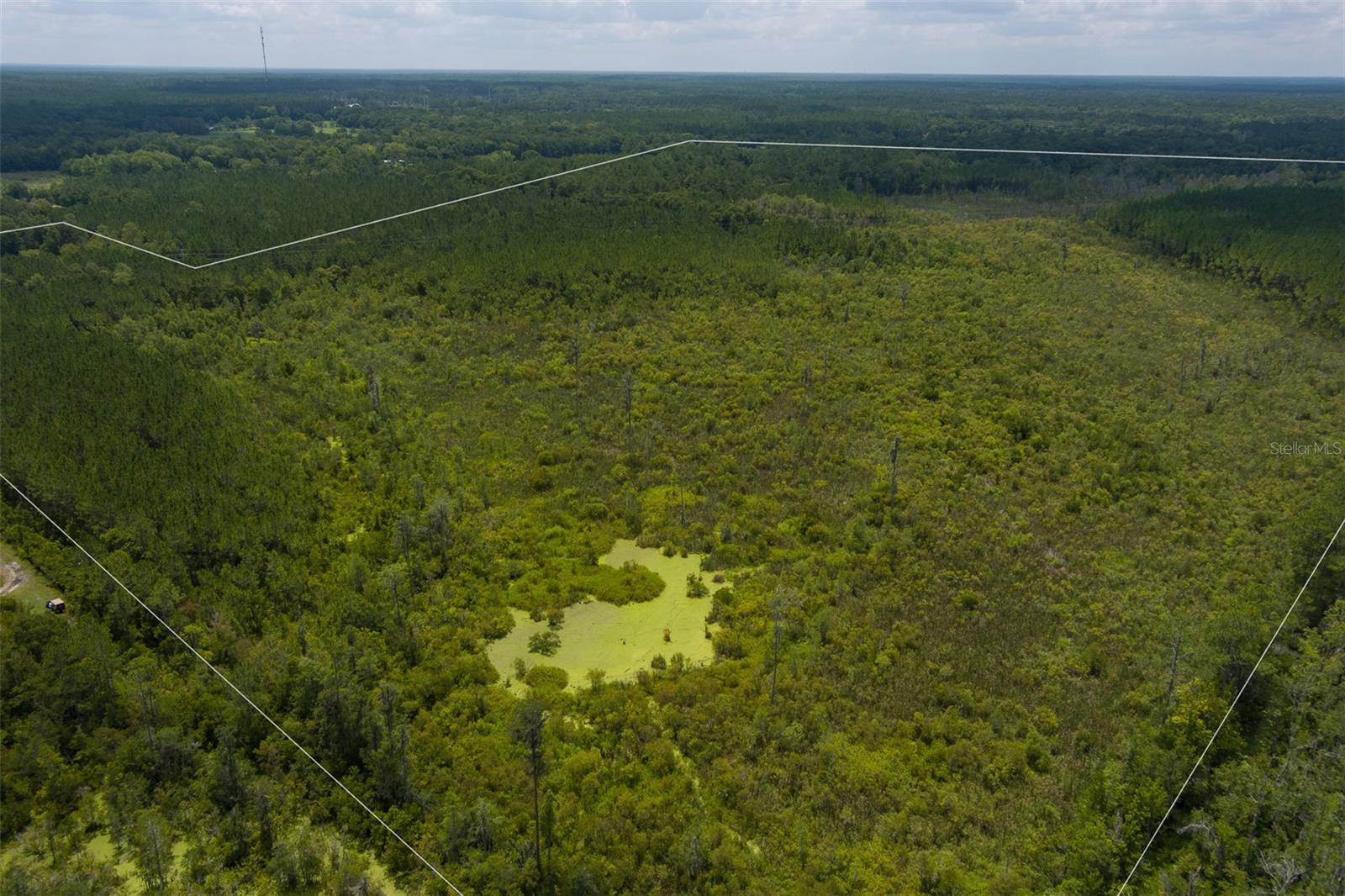 NW 241ST ST, LAWTEY, FL, 32058