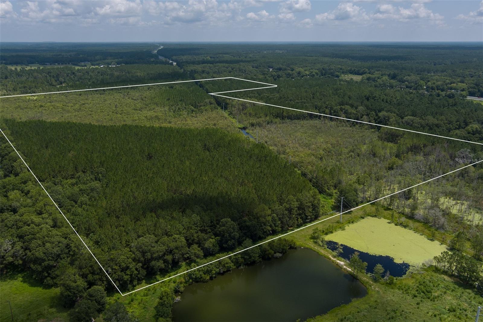 NW 241ST ST, LAWTEY, FL, 32058