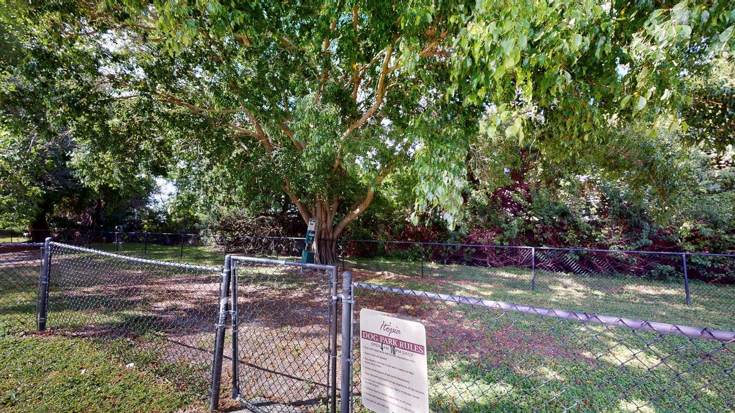 10265 GANDY BLVD N #1302, ST PETERSBURG, FL, 33702