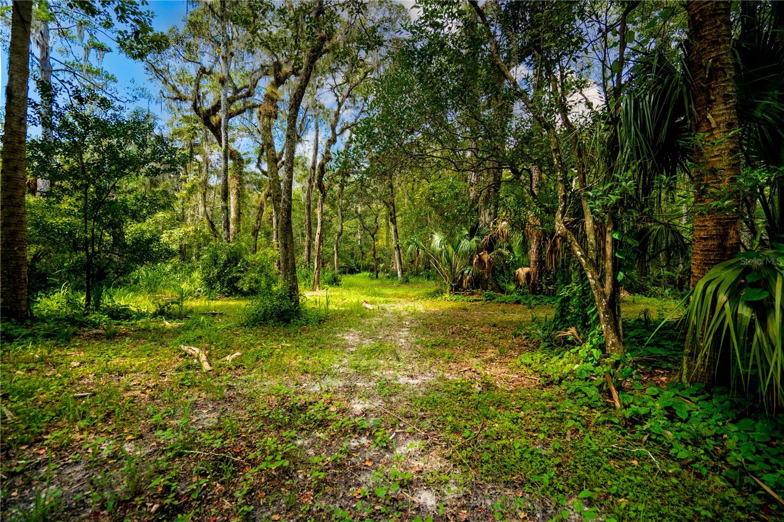 1525 PONCE DE LEON BLVD, BROOKSVILLE, FL, 34601