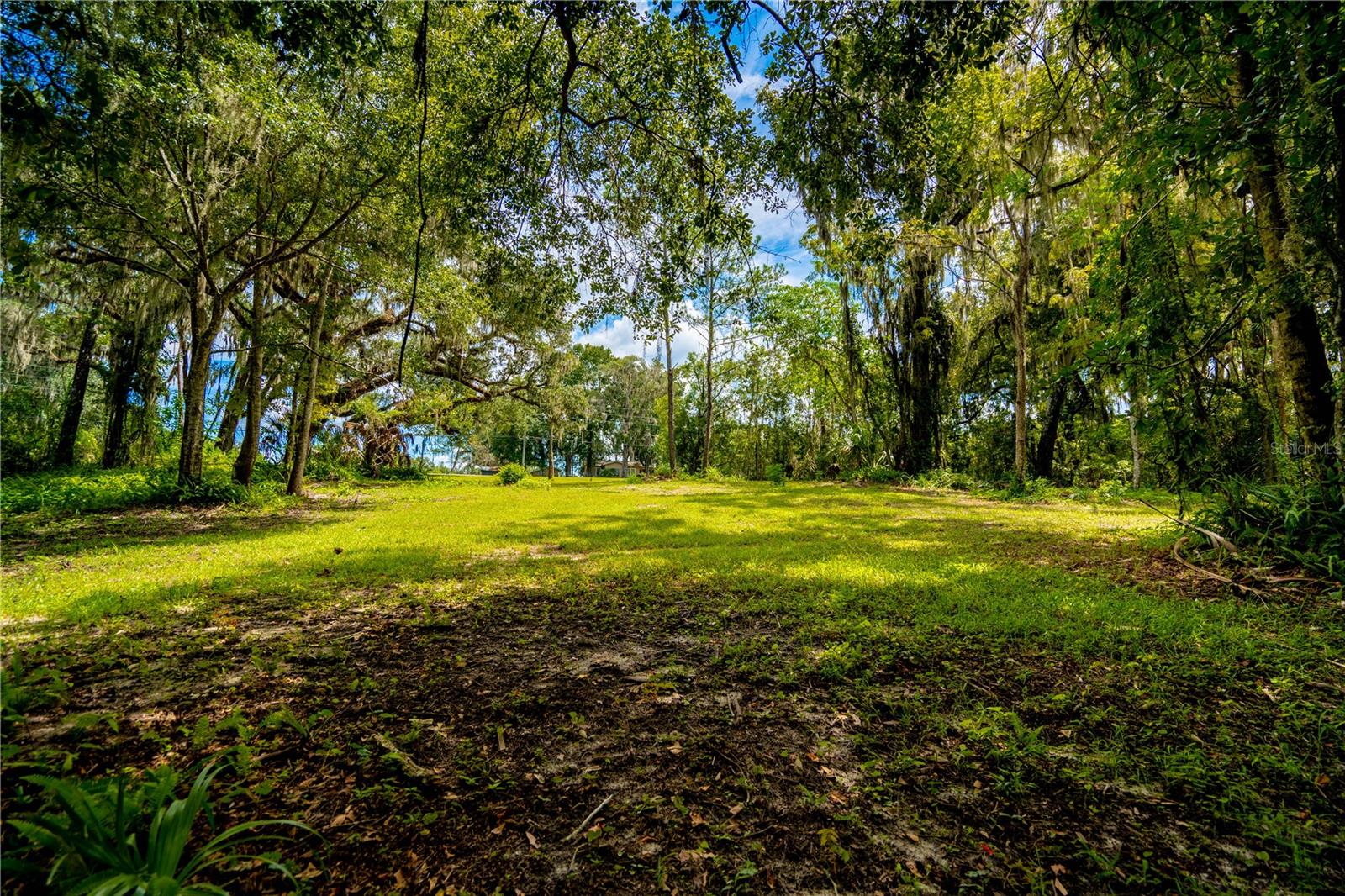 1525 PONCE DE LEON BLVD, BROOKSVILLE, FL, 34601