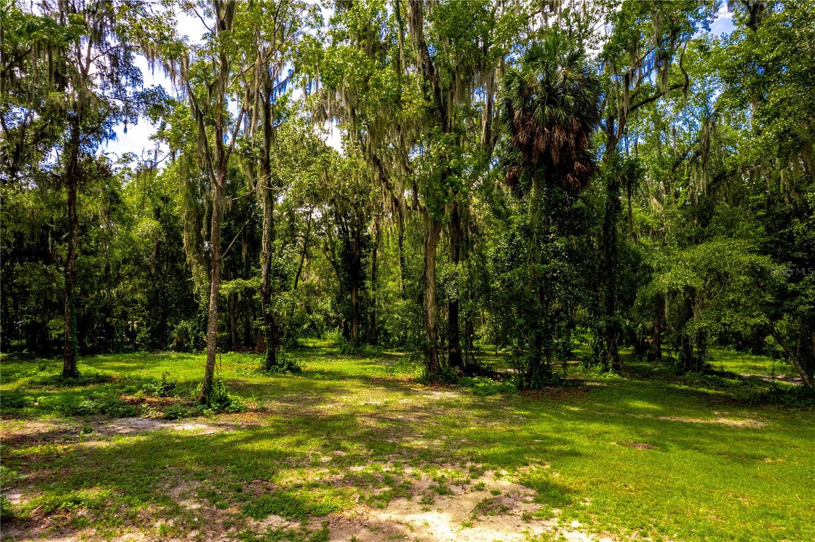 1525 PONCE DE LEON BLVD, BROOKSVILLE, FL, 34601