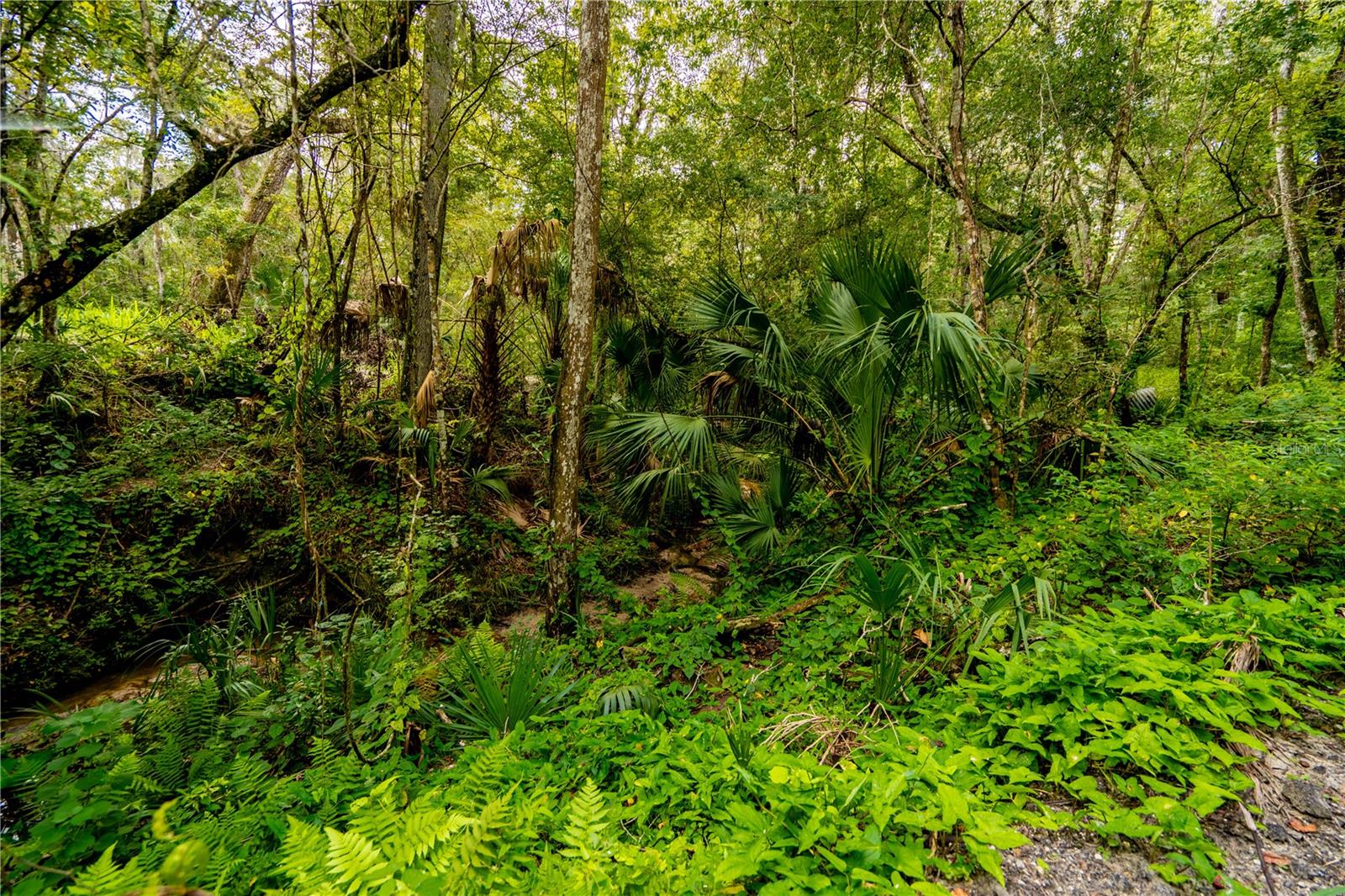 1525 PONCE DE LEON BLVD, BROOKSVILLE, FL, 34601