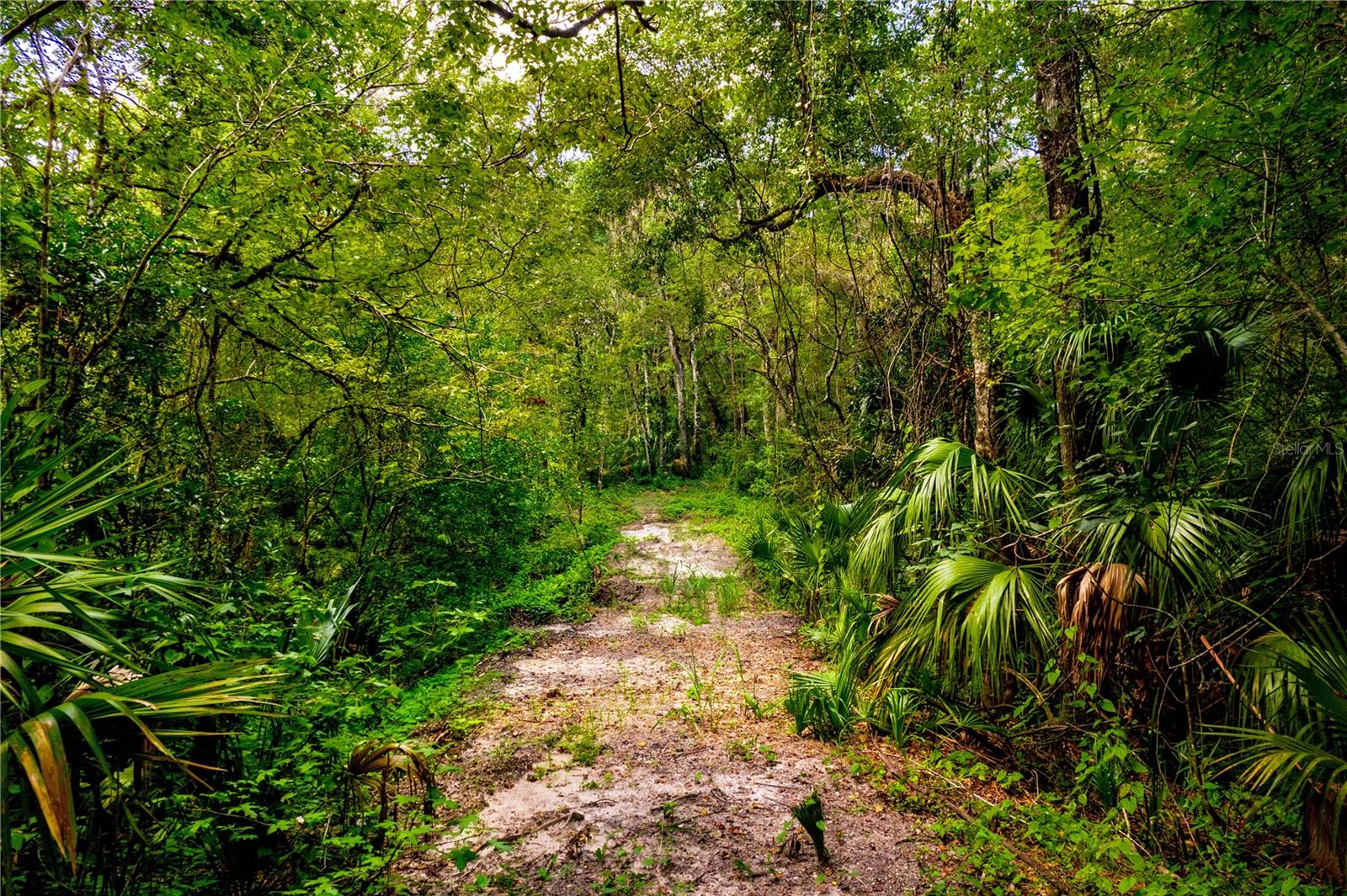 1525 PONCE DE LEON BLVD, BROOKSVILLE, FL, 34601