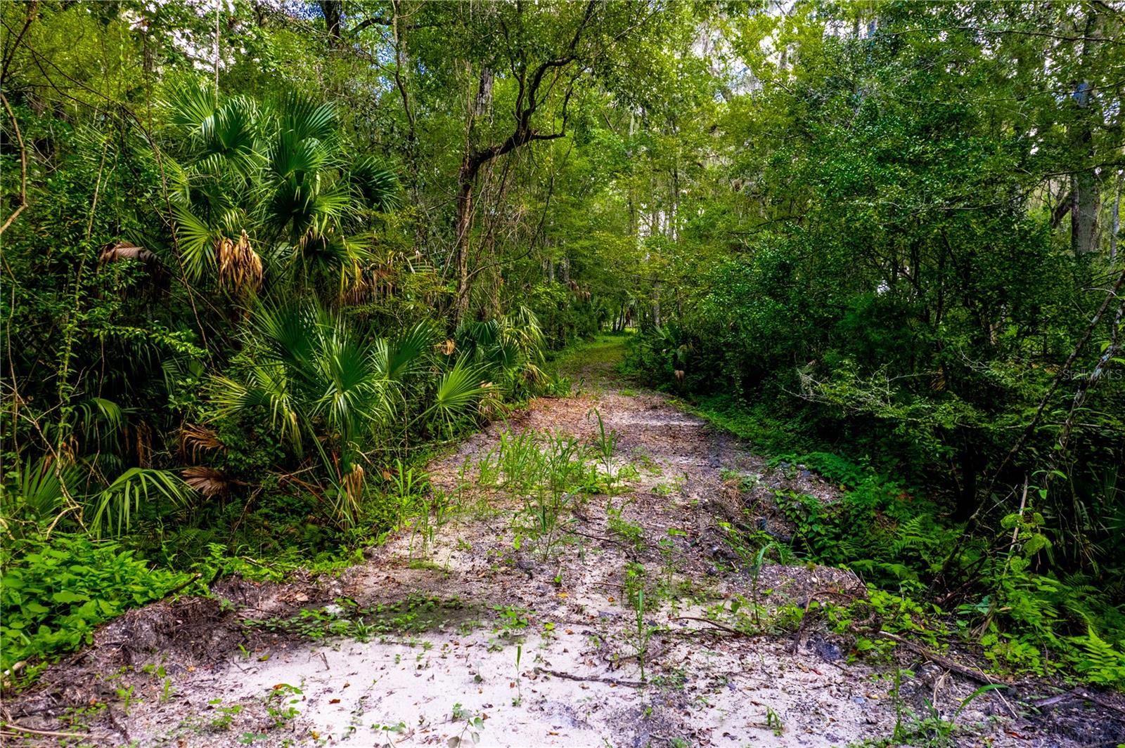 1525 PONCE DE LEON BLVD, BROOKSVILLE, FL, 34601
