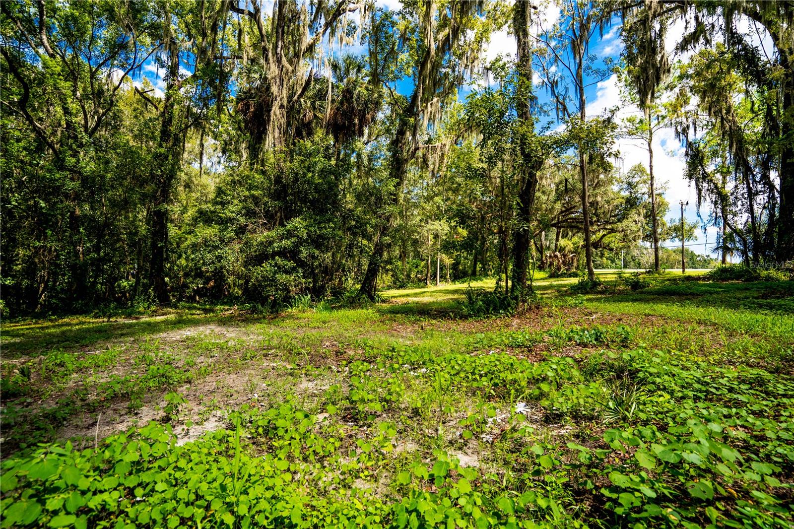1525 PONCE DE LEON BLVD, BROOKSVILLE, FL, 34601