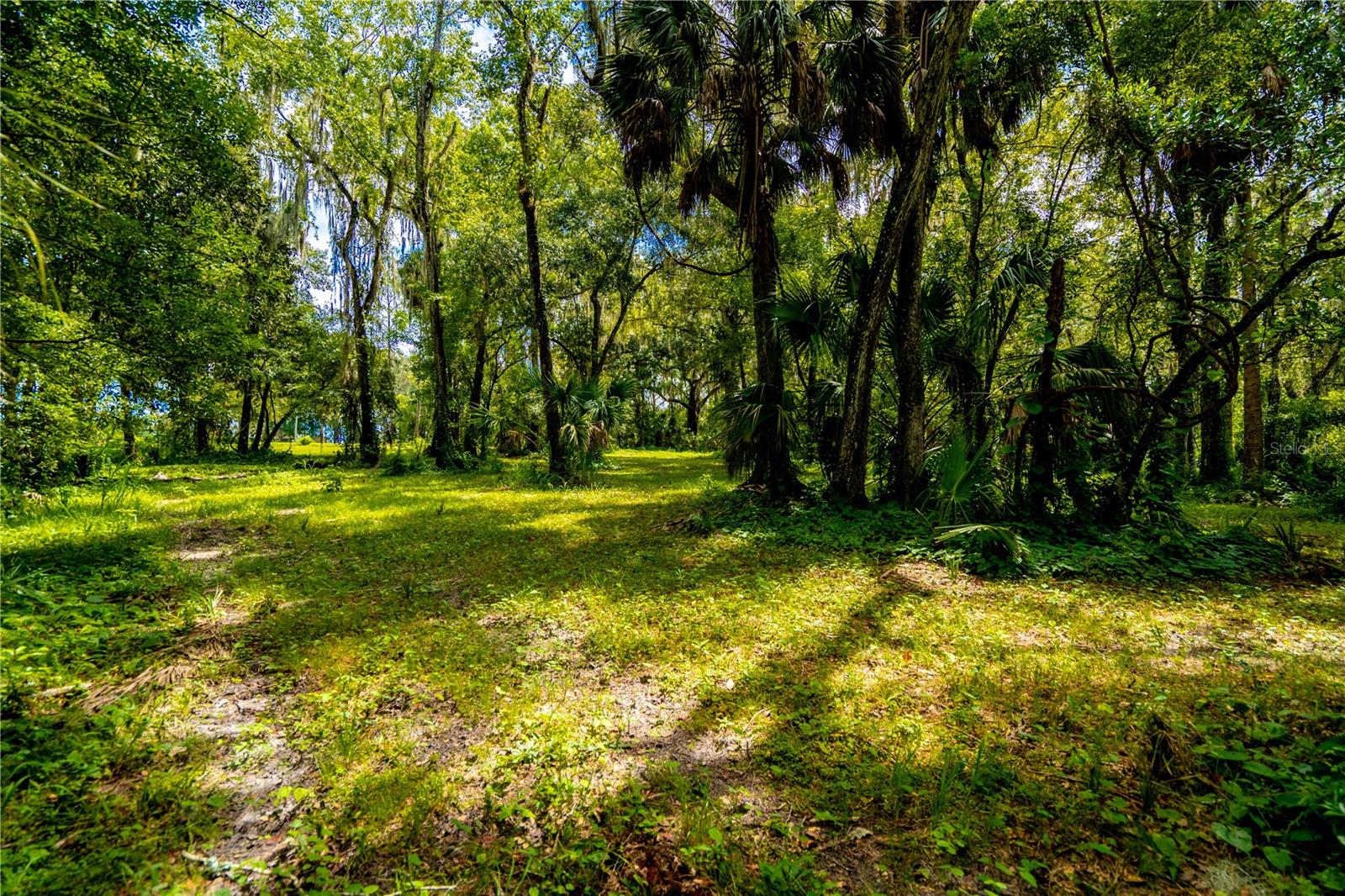1525 PONCE DE LEON BLVD, BROOKSVILLE, FL, 34601