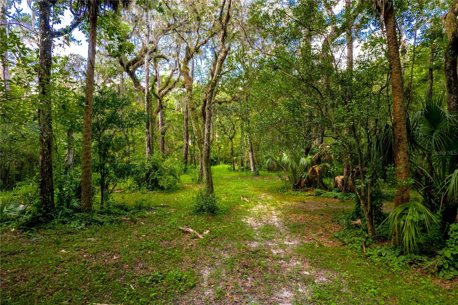 1525 PONCE DE LEON BLVD, BROOKSVILLE, FL, 34601