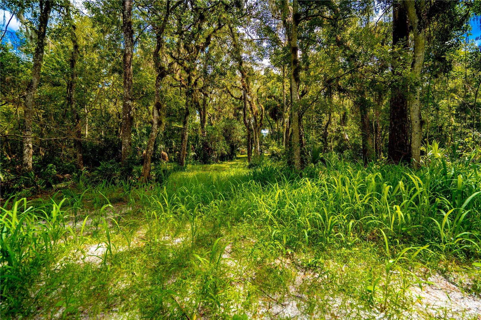 1525 PONCE DE LEON BLVD, BROOKSVILLE, FL, 34601