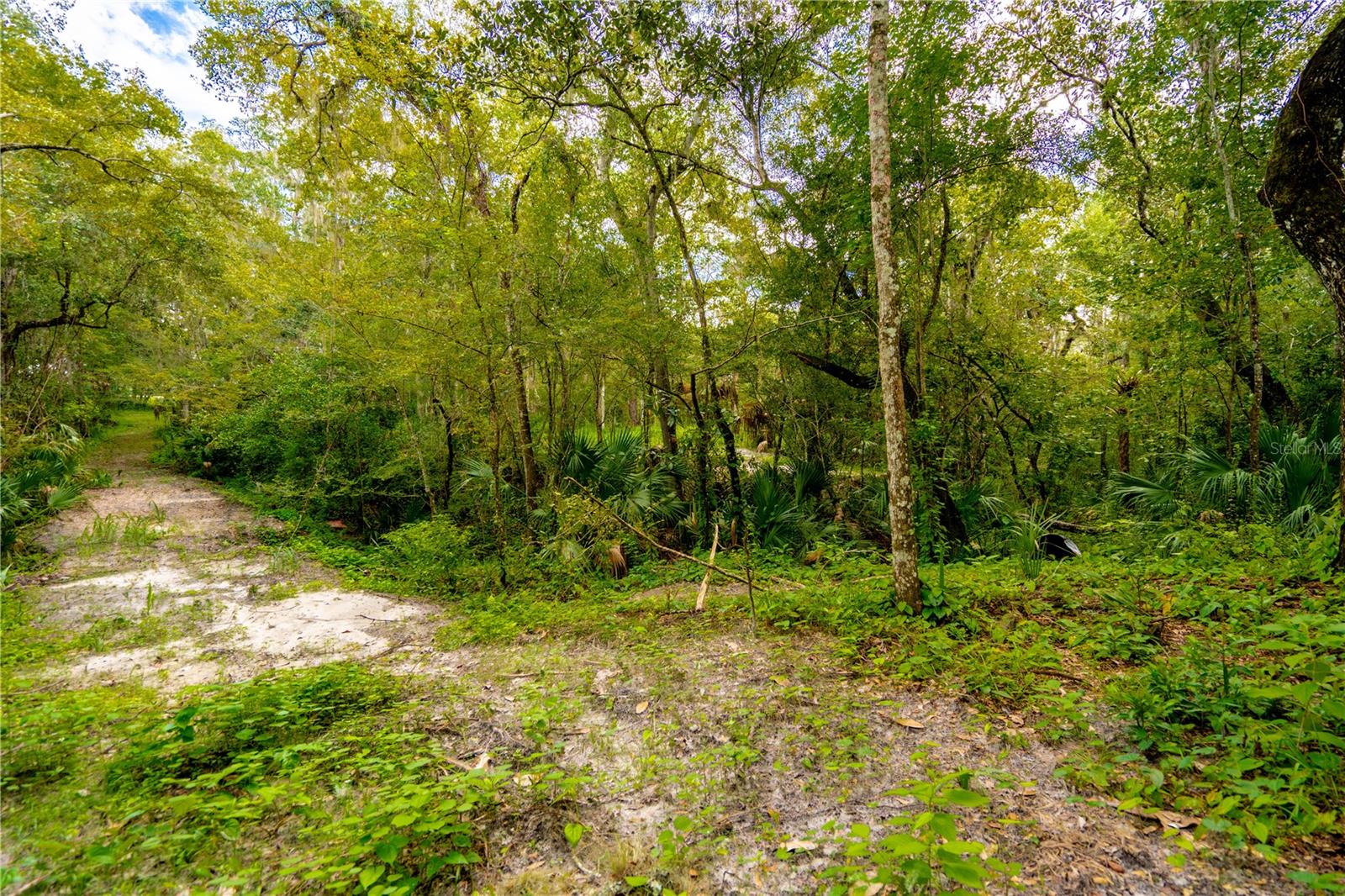 1525 PONCE DE LEON BLVD, BROOKSVILLE, FL, 34601