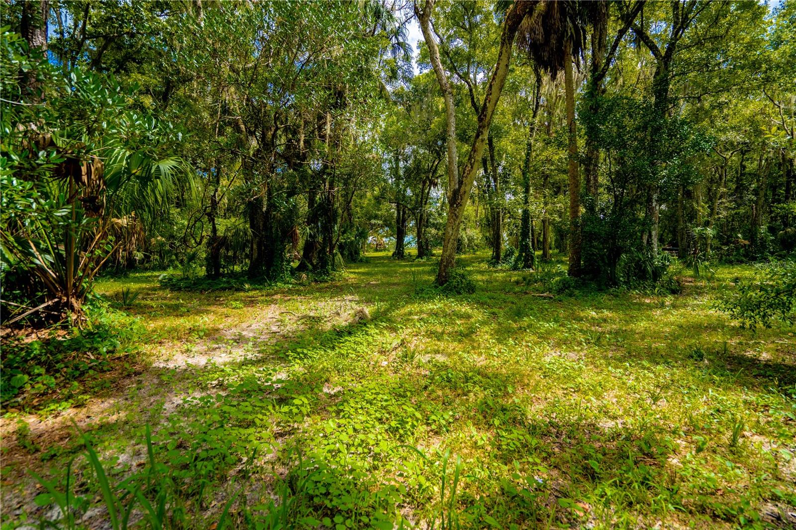 1525 PONCE DE LEON BLVD, BROOKSVILLE, FL, 34601