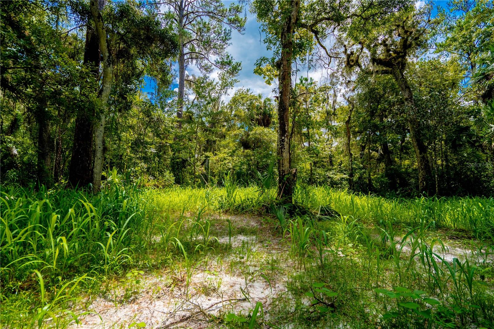 1525 PONCE DE LEON BLVD, BROOKSVILLE, FL, 34601