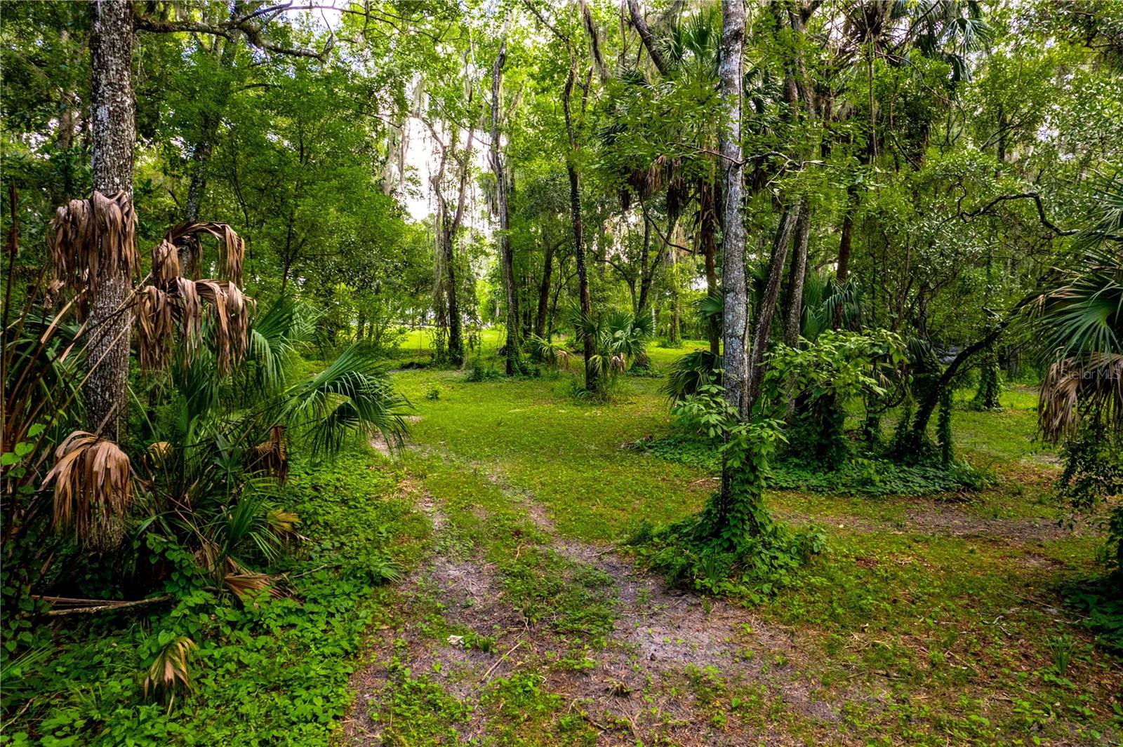 1525 PONCE DE LEON BLVD, BROOKSVILLE, FL, 34601