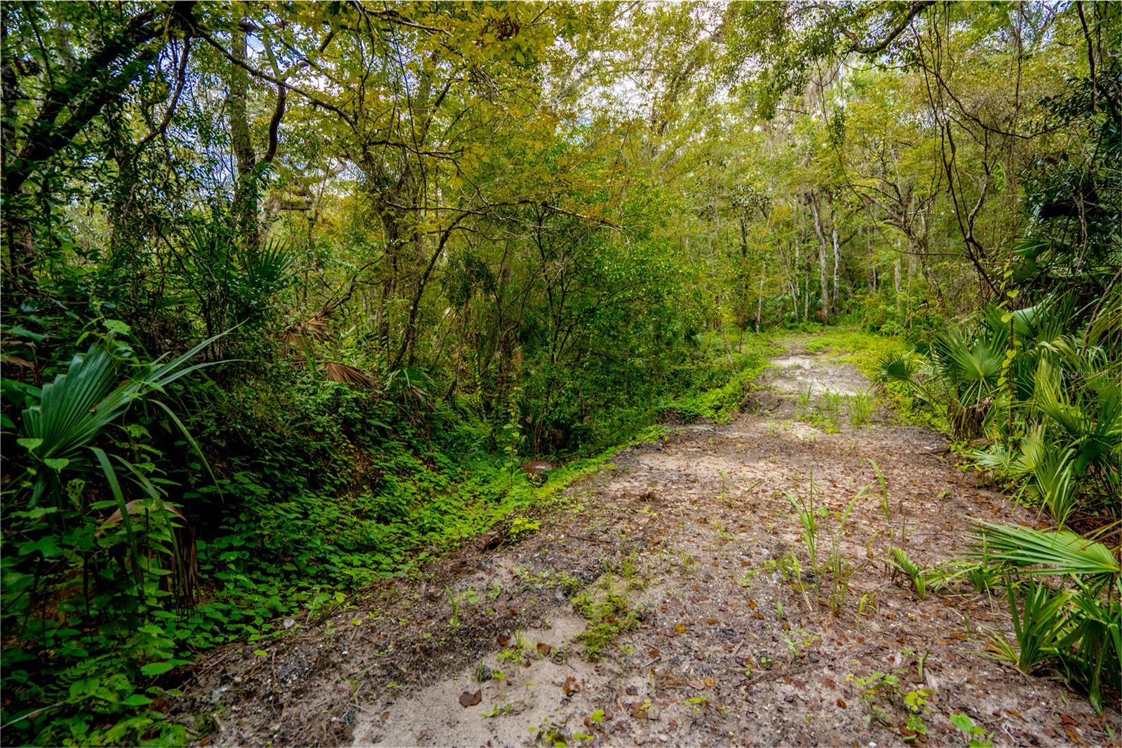 1525 PONCE DE LEON BLVD, BROOKSVILLE, FL, 34601