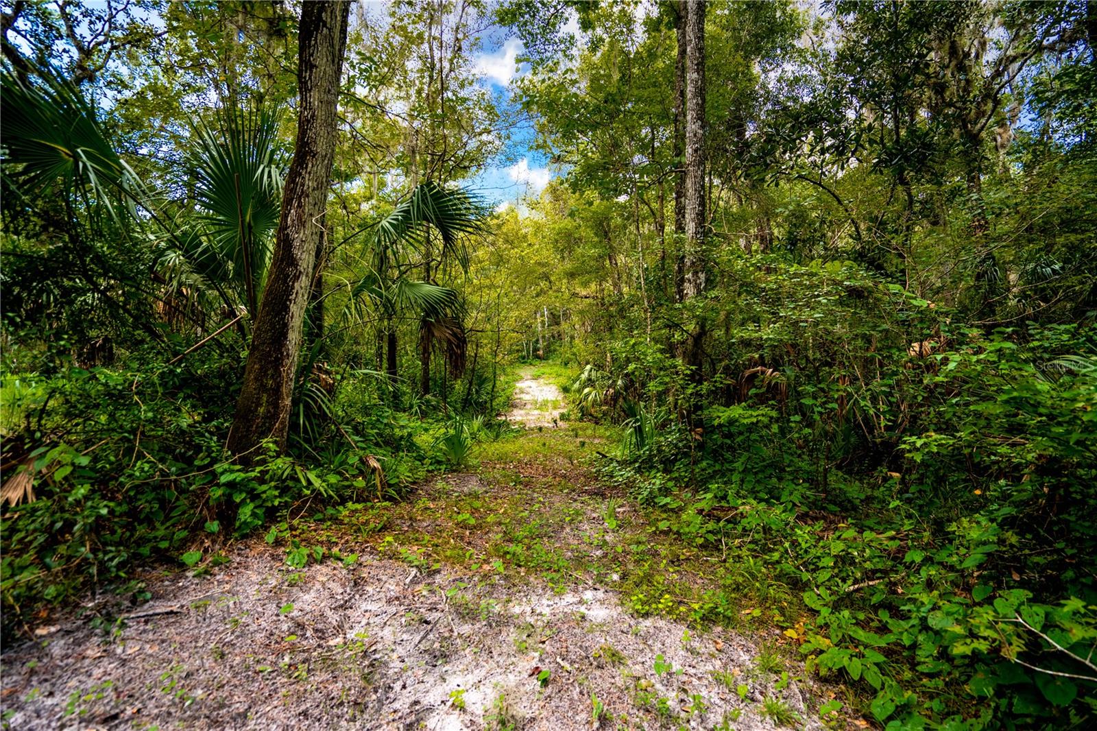 1525 PONCE DE LEON BLVD, BROOKSVILLE, FL, 34601