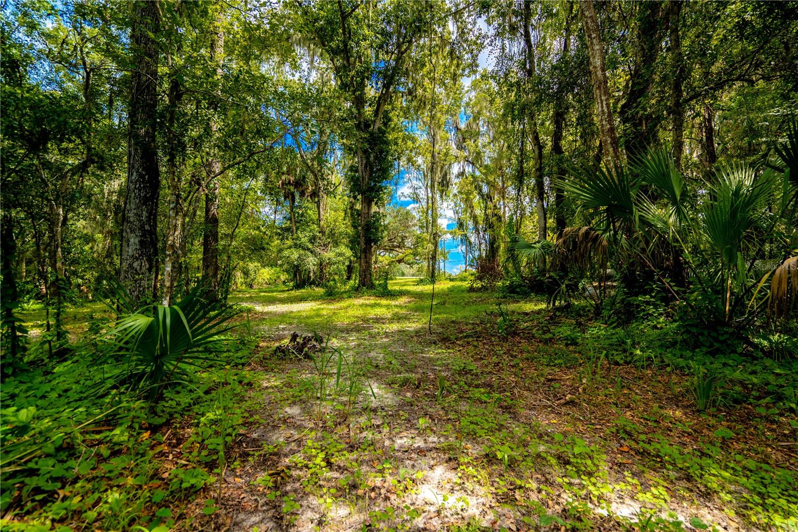 1525 PONCE DE LEON BLVD, BROOKSVILLE, FL, 34601
