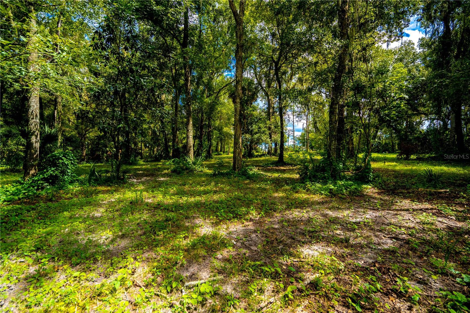 1525 PONCE DE LEON BLVD, BROOKSVILLE, FL, 34601