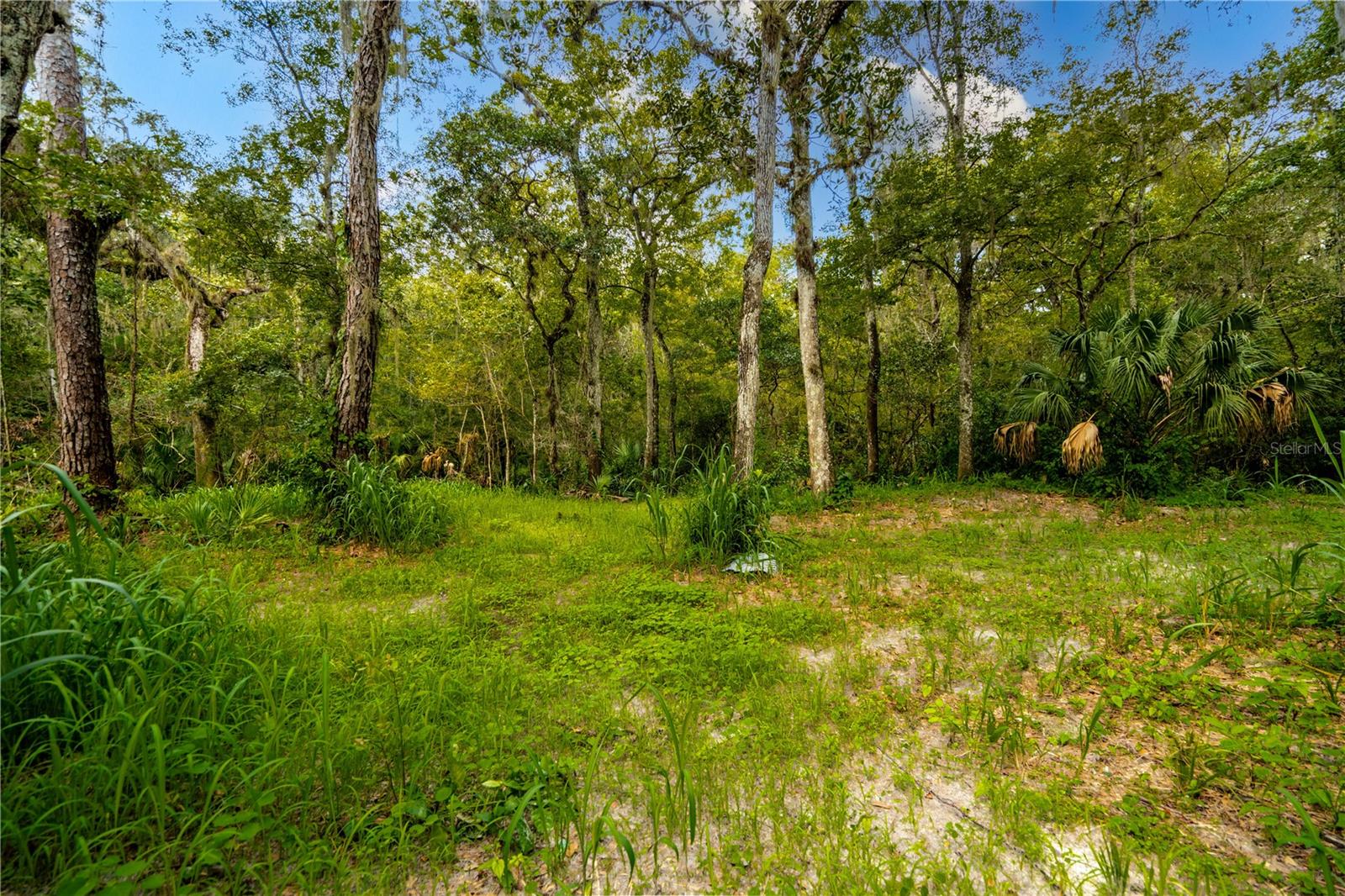 1525 PONCE DE LEON BLVD, BROOKSVILLE, FL, 34601