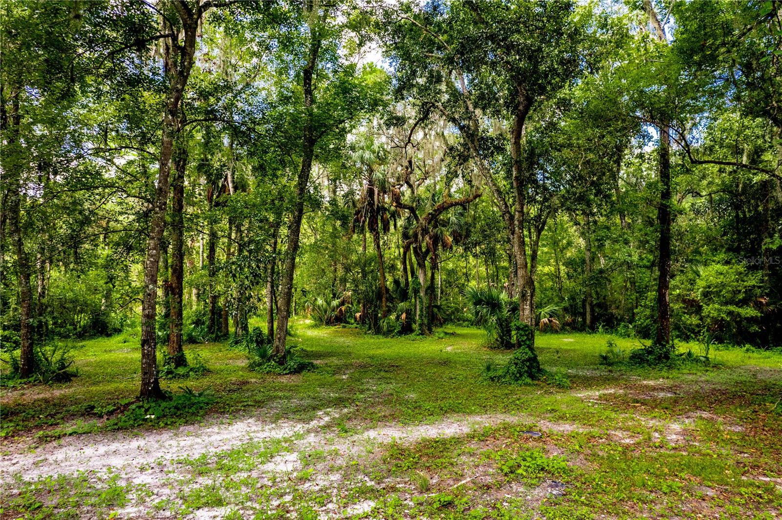 1525 PONCE DE LEON BLVD, BROOKSVILLE, FL, 34601