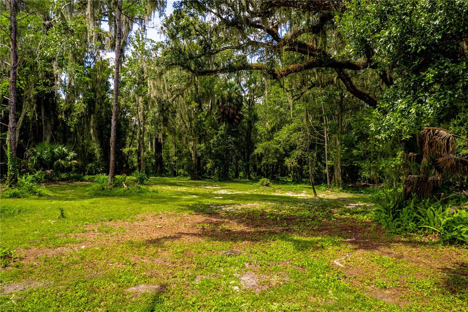 1525 PONCE DE LEON BLVD, BROOKSVILLE, FL, 34601