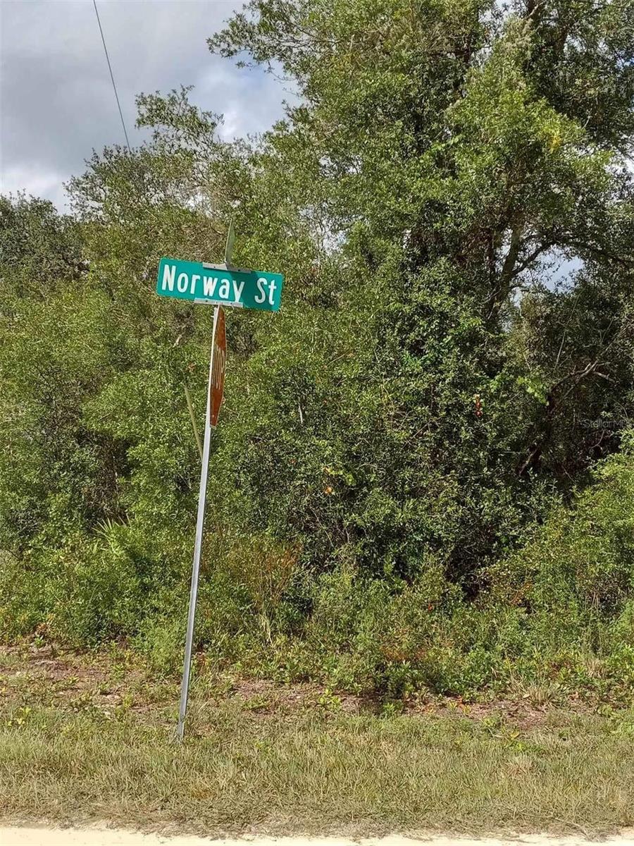 0 NORWAY ST, WEBSTER, FL, 33597