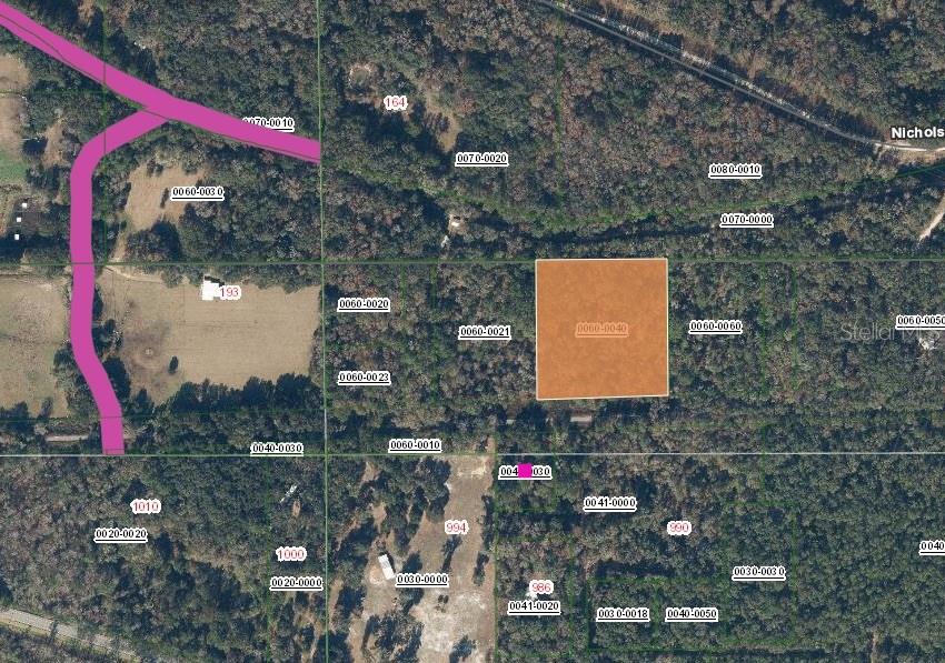 217 EASEMENT LN, FLORAHOME, FL, 32140