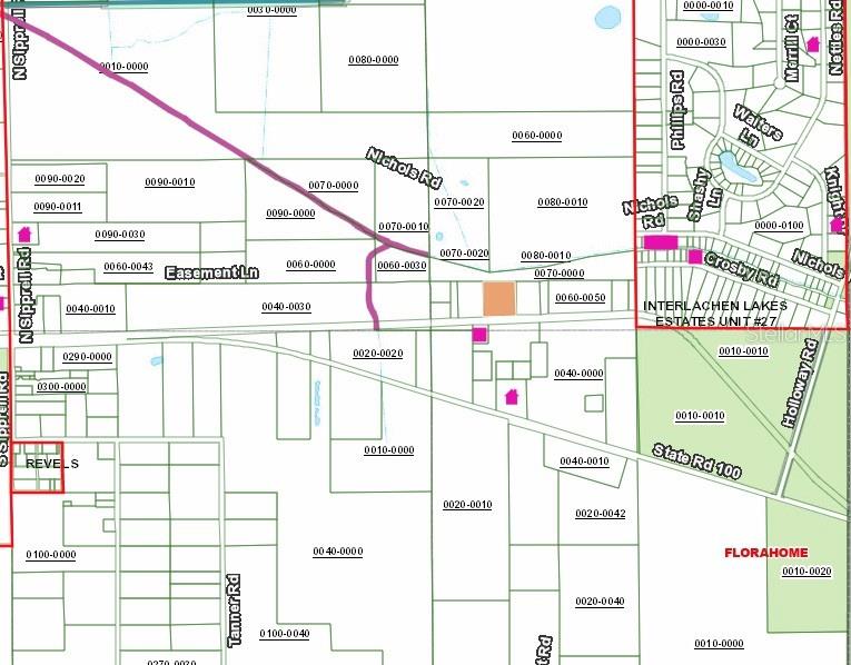 217 EASEMENT LN, FLORAHOME, FL, 32140