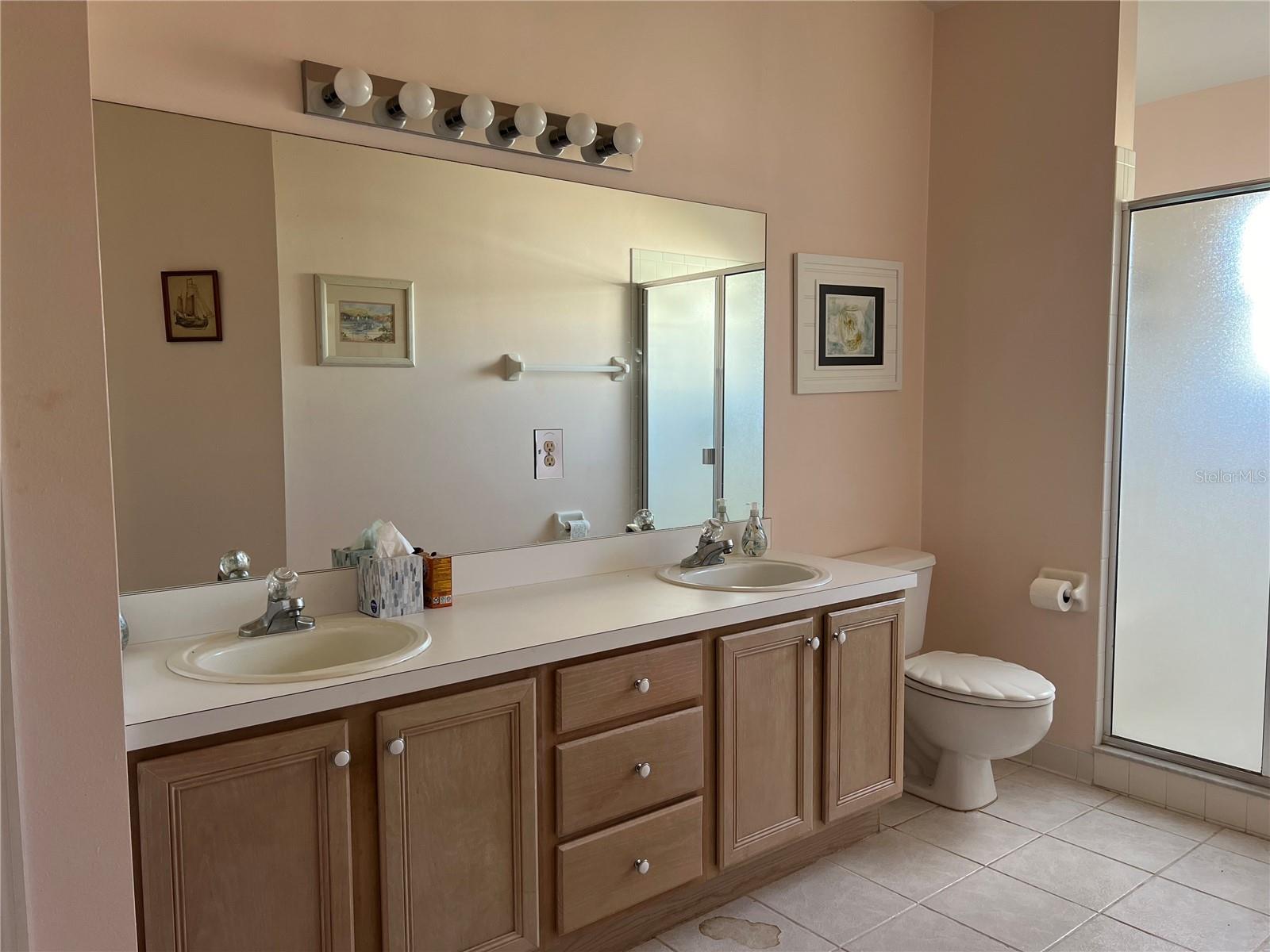 25331 HIBISCUS ST, LEESBURG, FL, 34748
