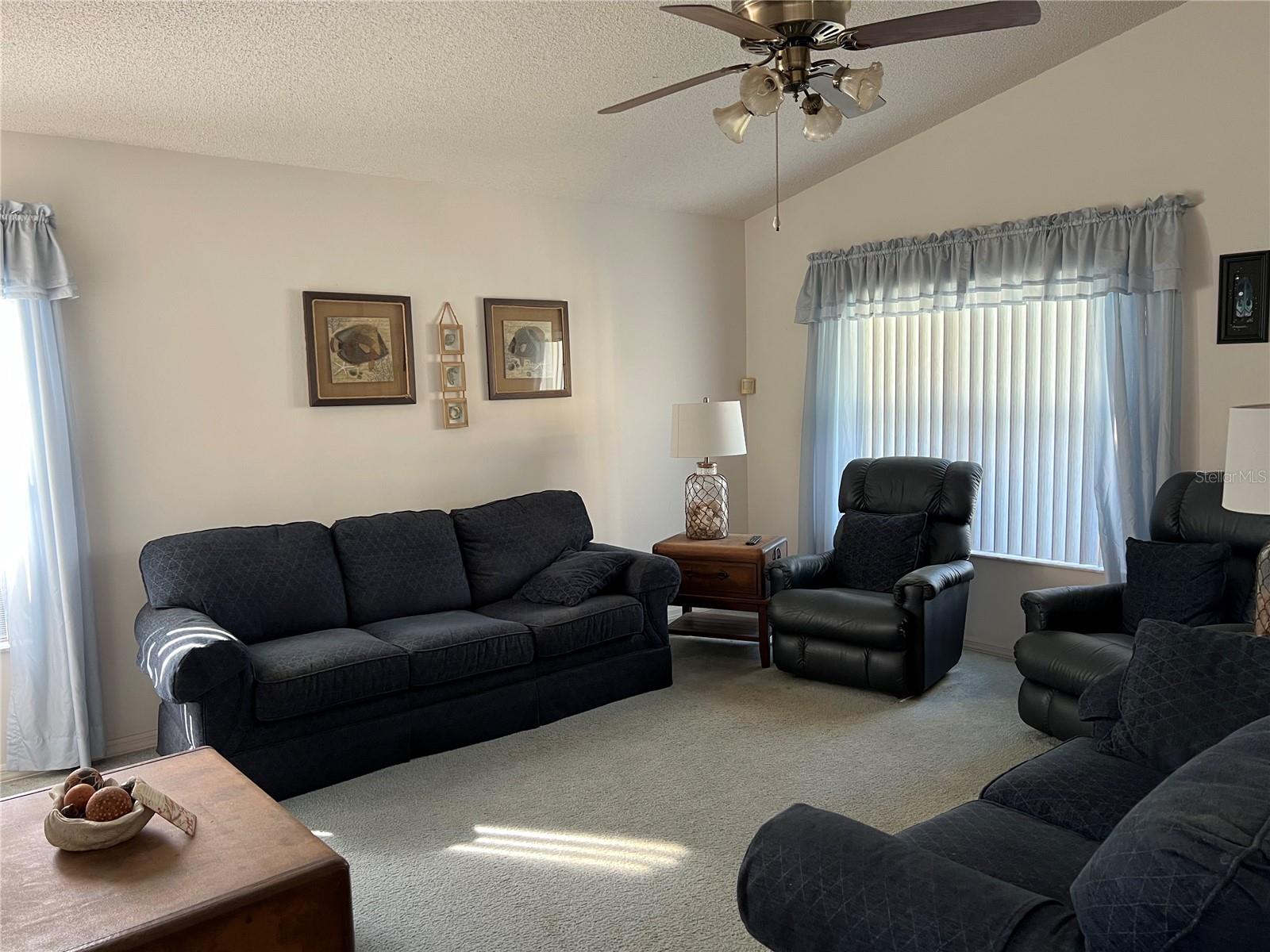 25331 HIBISCUS ST, LEESBURG, FL, 34748