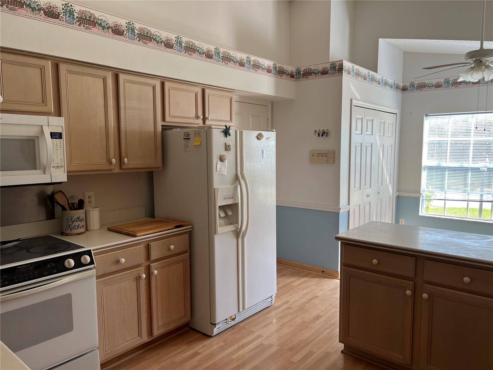 25331 HIBISCUS ST, LEESBURG, FL, 34748