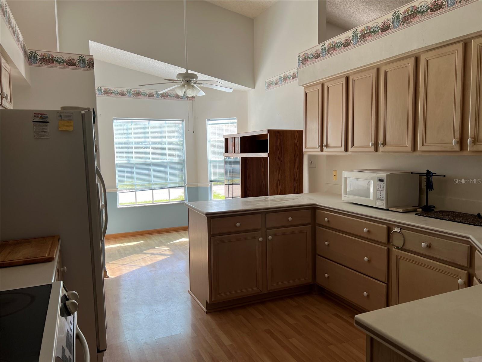 25331 HIBISCUS ST, LEESBURG, FL, 34748