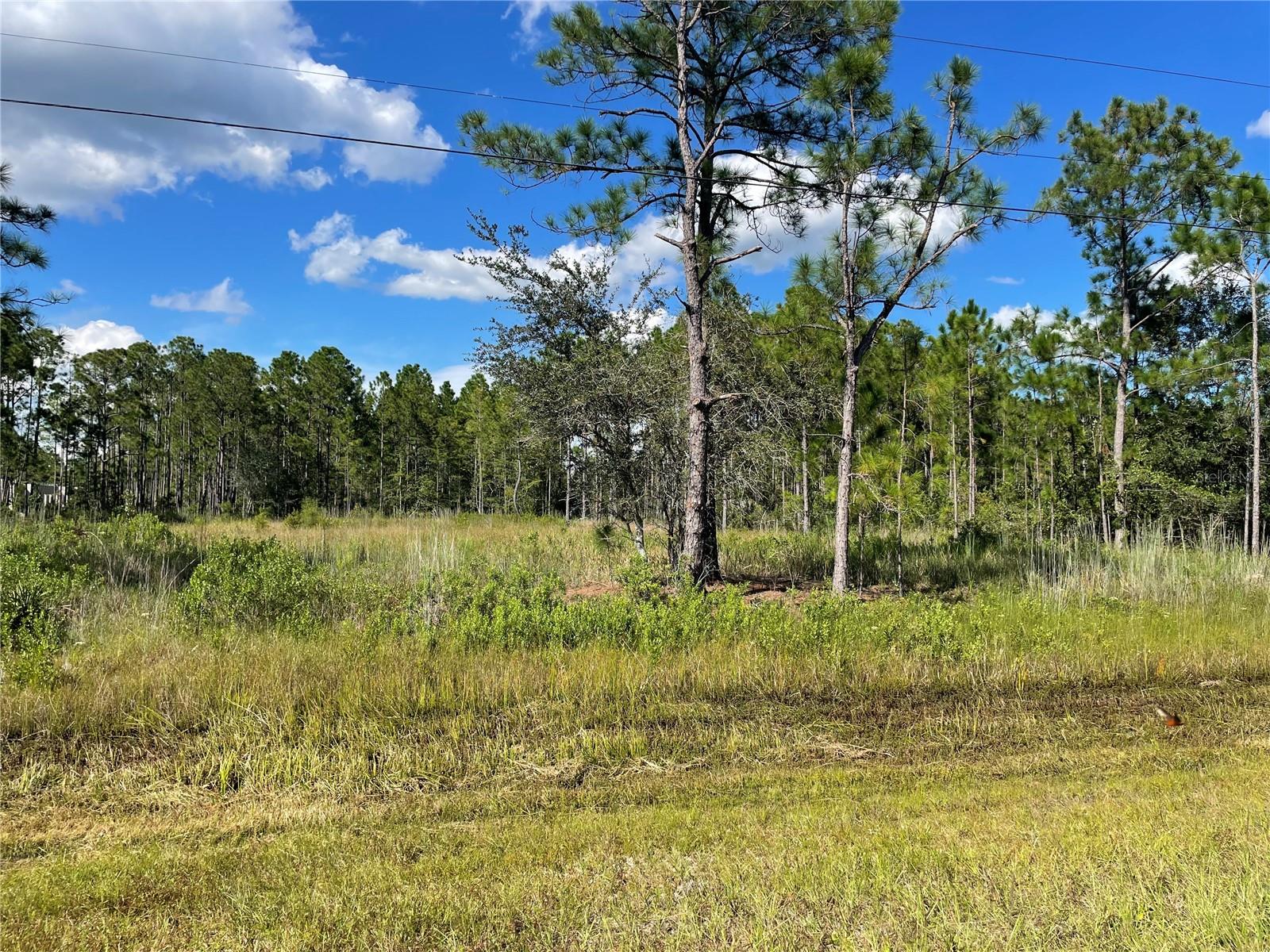 19115 MEREDITH PKWY, ORLANDO, FL, 32833