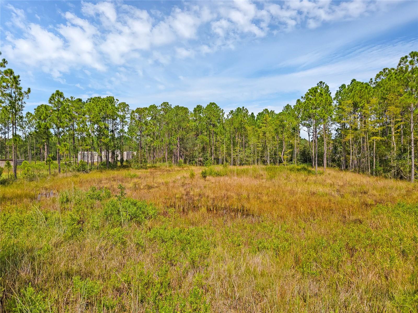 19115 MEREDITH PKWY, ORLANDO, FL, 32833