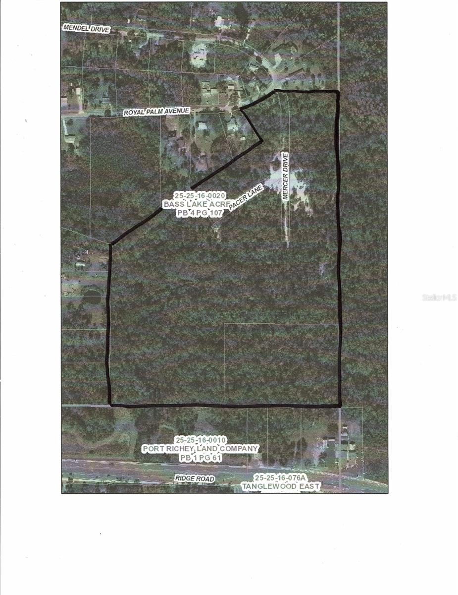 0 ROYAL PALM AVE, NEW PORT RICHEY, FL, 34654