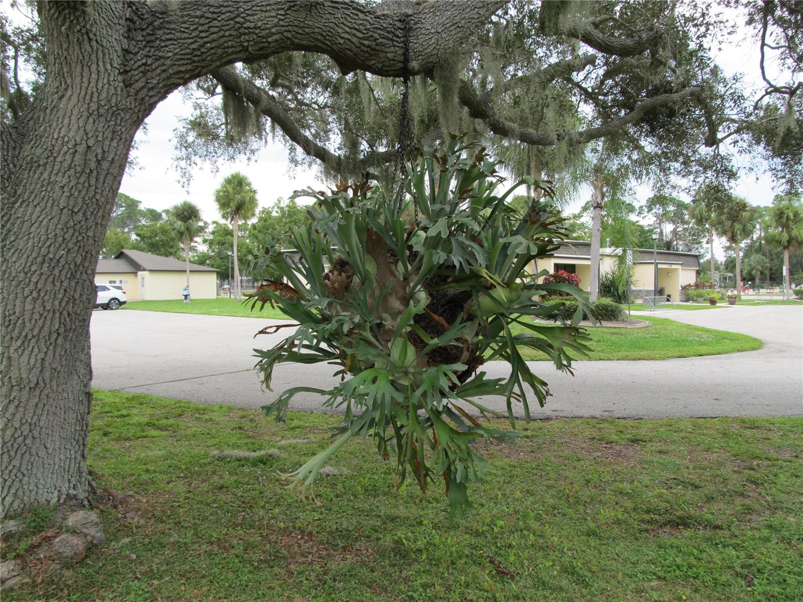 5140 PALENA BLVD, NORTH PORT, FL, 34287