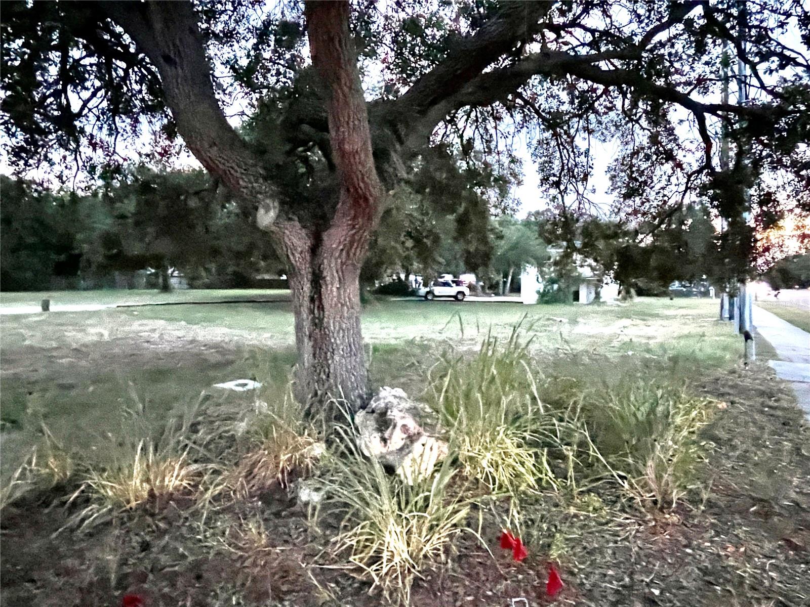 Looking from the corner of 54th Ave. N. and 71st St N