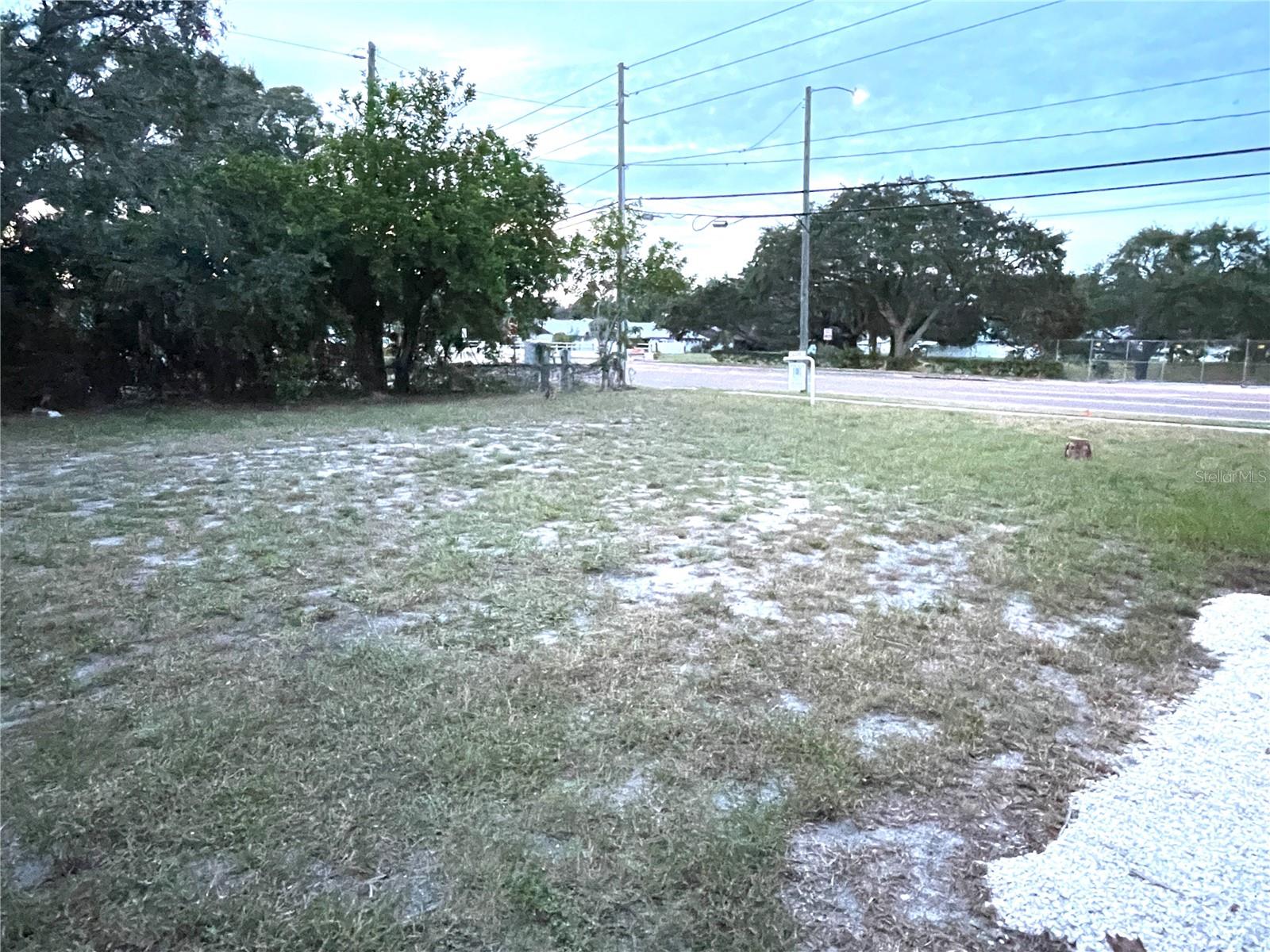 looking across Lot 12 towards 54th Ave N from the back of the house