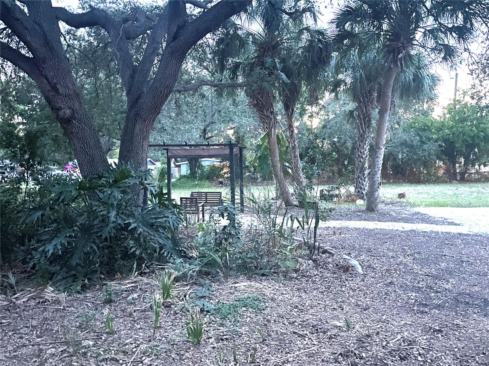 Gazebo behind the house.