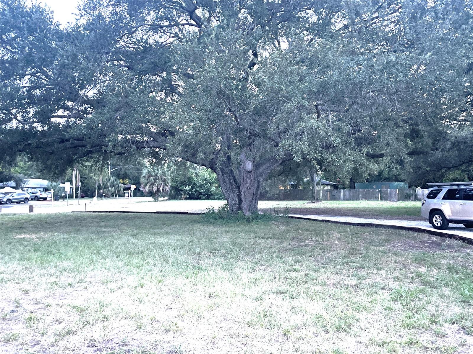 Looking from the back of the house towards 71st St. N.