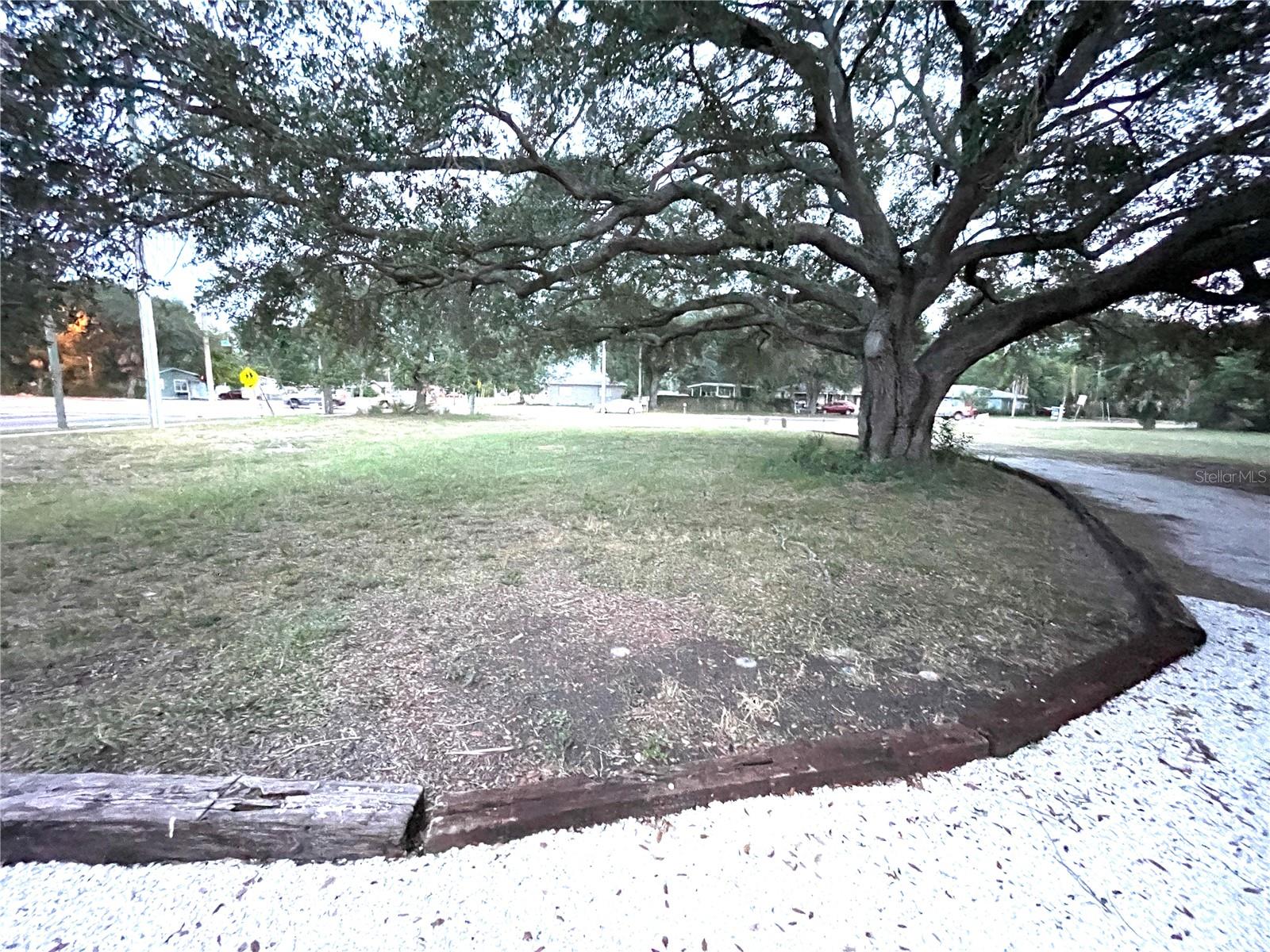 Looking towards 71st St. N. from the driveway behind the house