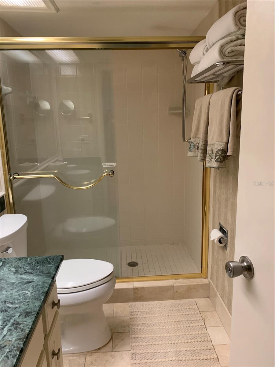 29129 BAY HOLLOW DR #3208, WESLEY CHAPEL, FL, 33543