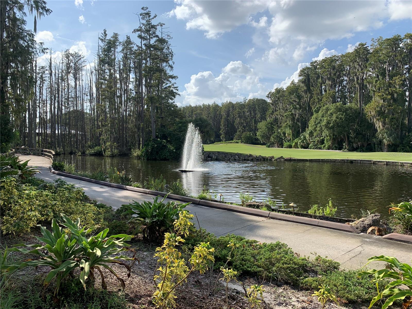 29129 BAY HOLLOW DR #3208, WESLEY CHAPEL, FL, 33543