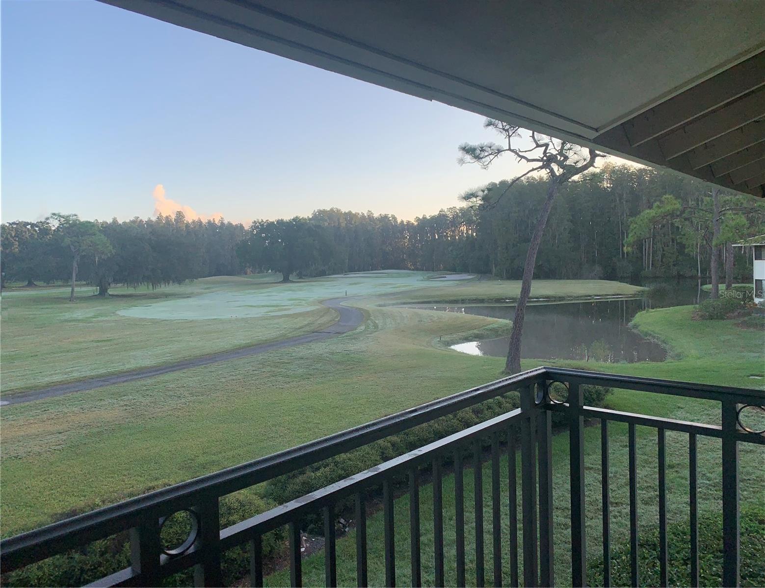 29129 BAY HOLLOW DR #3208, WESLEY CHAPEL, FL, 33543