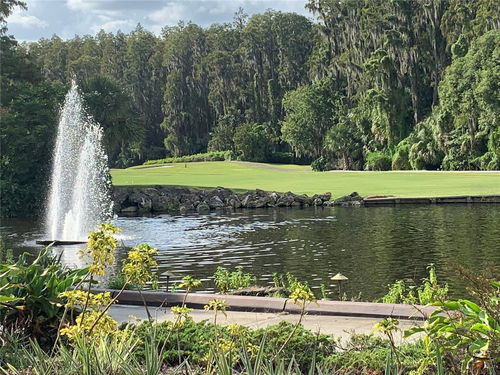 29129 BAY HOLLOW DR #3208, WESLEY CHAPEL, FL, 33543